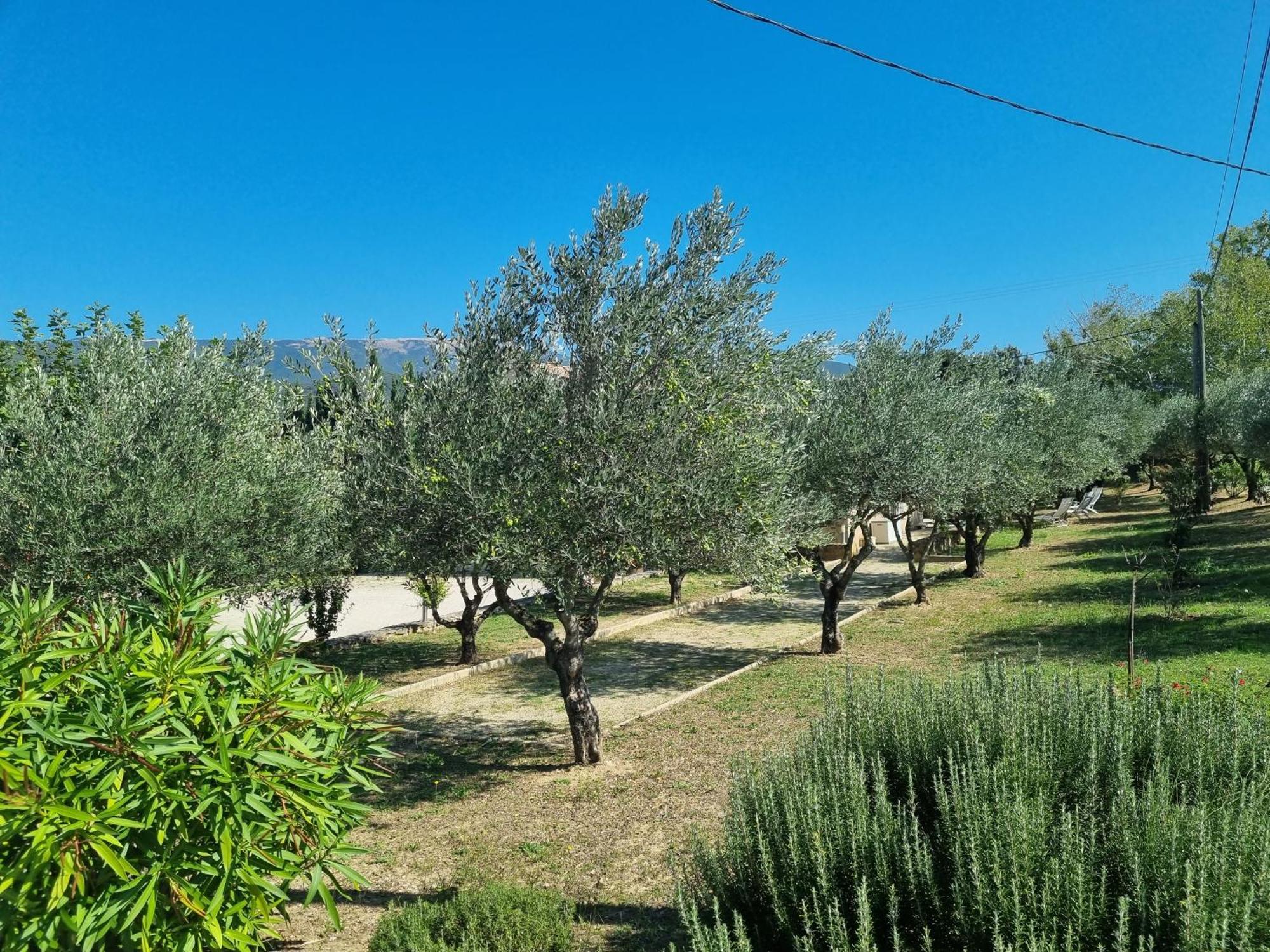 فندق La Fanette Montbrison-sur-Lez المظهر الخارجي الصورة